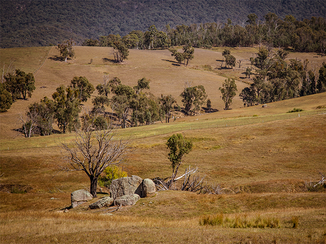 Enclosed Landscape - Photography by Garry Pearce